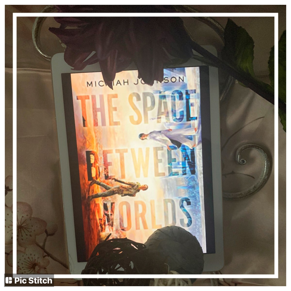 Book Review: The Space Between Worlds | Author C.M. Martens